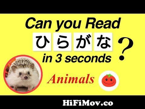 HIRAGANA TEST 01 - Japanese Words Quiz: Hiragana Reading Practice for  Beginners from hiragana practice sheets Watch Video 