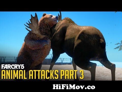 All Animal Attacks on Grizzly Bear (Animal Attacks Part 3) Animals VS Bears  - FAR CRY 5 from dear vs bear part 2 Watch Video 
