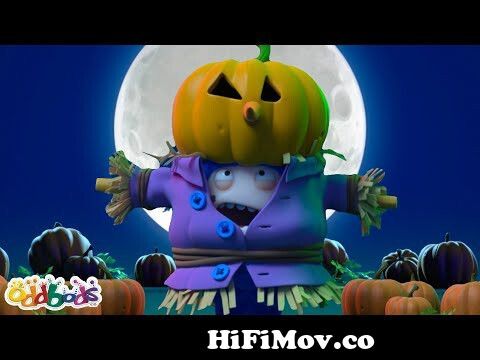 🎃Pumpkin Pogo🎃 | Happy Halloween! | Brand New Episode Compilation | Funny  Cartoons for Kids from new pogo Watch Video 