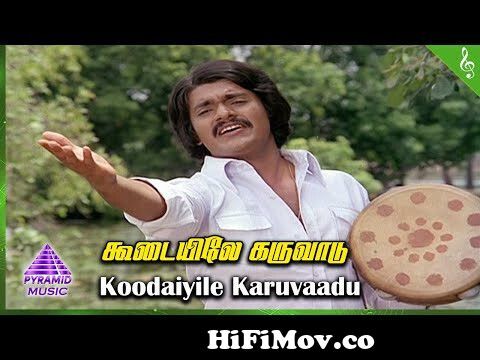 T Rajendar Songs | Super Hit Songs of TR | Evergreen Hits | Tamil Songs of  TR | Minute Box from trhits Watch Video 