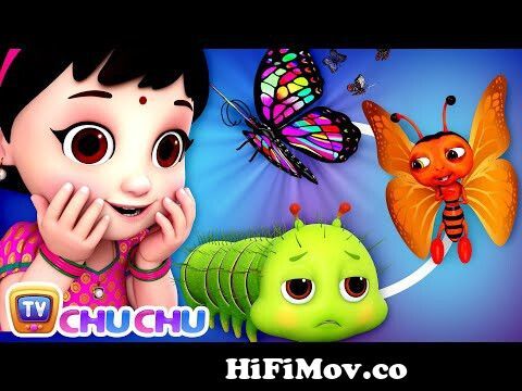 பட்டாம்பூச்சி பாடல் - Pattampoochi (Butterfly) Song - ChuChu TV Tamil  Nursery Rhymes & Kids Songs from vannathu Watch Video 