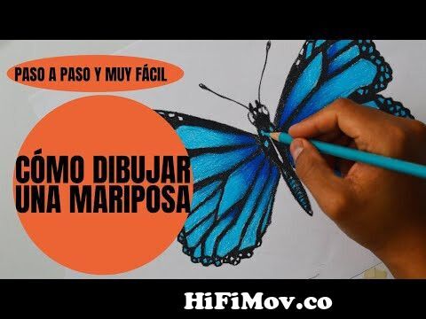 Cómo dibujar una Mariposa Monarca from mariposas dibujos a color Watch  Video 