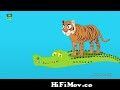 লোভী শিয়াল | Chalak Siyal Boka Sagol | Bagh O Kumir | Bangla Cartoon | Fox  Cartoon | Tiger and Fox from কুমির কার্টুন Watch Video 