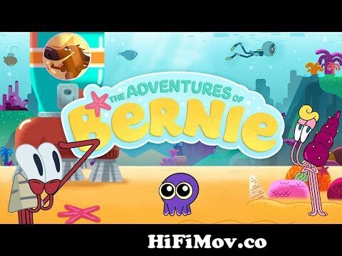 NEW Zig & Sharko 💥 DISCOVER THE ADVENTURES OF BERNIE | New Cartoon for  Kids from zeke bangla new serial but all song Watch Video 