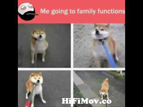 😂Funny memes that will make you laugh [32] || School memes || Funny  Relatable Memes || #gs_memes from গাড়ির পিপচার Watch Video 