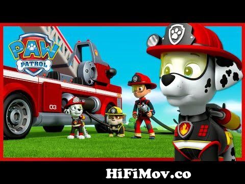 Ultimate Marshall's Best Saves and Rescue Moments! | PAW Patrol | Cartoons  for Kids from moto carton film Watch Video 