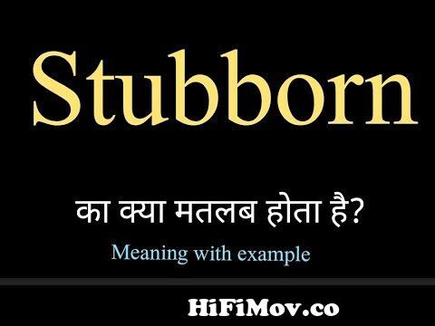 Stubborn Meaning in Hindi  Stubborn ka Matlab kya hota hai Hindi