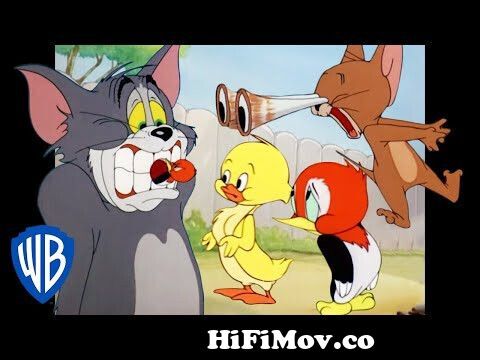 Tom & Jerry | Animal Kingdom | Classic Cartoon Compilation | WB Kids from malayalam  funny animat Watch Video 