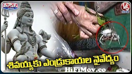 Devotees Offers Live Crabs To Lord Shiva At Ramnath Shiva Ghela Temple In  Surat | V6 Teenmaar from download shiva cartoon nicklodeon song baccha nehe  keana uncie song 3gp song Watch Video -