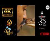 Ashutosh 7 Vlogs