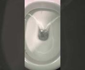 Laurence&#39;s Toilet Channel