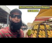 Vlogs with Rashid Ali Khan