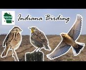 Badgerland Birding