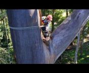 Sherbrooke Tree Service