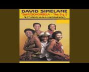 David Simelane - Topic