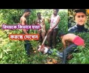 Ahil Mixure Bangla