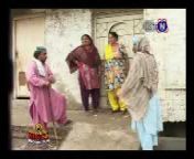 Sindhi funny clips