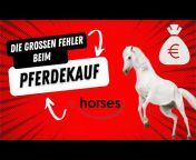 ehorses - Europas führender Pferdemarkt