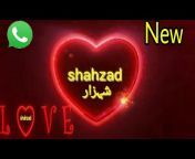 Shahzad hera official