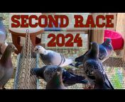 Rocky Ridge Pigeons