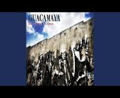 Guacamaya - Topic