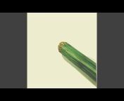 Celer - Topic