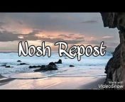 Nosh Repost