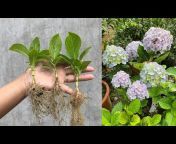 Plant Breeding tips