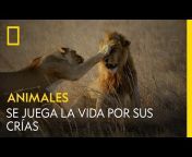 National Geographic España