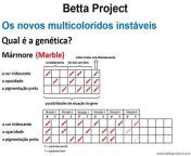 Betta Project