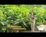 Escambia Extension Horticulture