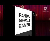 Panda Nepali Gamer