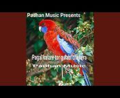 Padhan Music - Topic