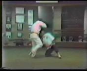 Advanced Okinawan Karate