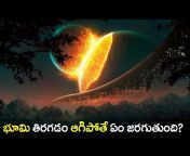 Telugu Wonders