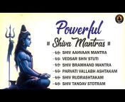 Nothing but Shiva