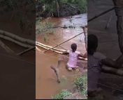 Africa Viral Videos