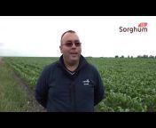 agricultura.video