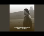 Amir Mehdizadeh - Topic