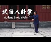 Wudang Kung Fu Academy