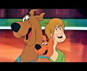 The Scooby Doo And Scrappy Doo Show