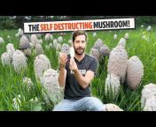 FreshCap Mushrooms