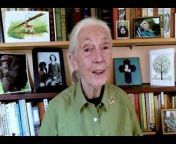 Dr. Jane Goodall u0026 the Jane Goodall Institute USA