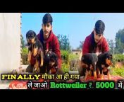 Aakrsh Singh dog lover