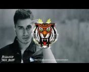 Bollywood Tiger Beats