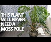 Kill This Plant