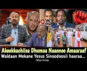 Bonsa Addisu Gute - Good News - Oduu Gaarii