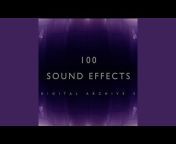 The Digital Sound Effects Group - Topic