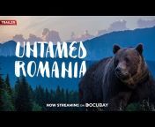 DocuBay - Streaming Documentaries