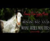 Serenity Farm Gypsy Horses
